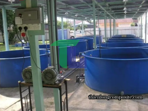 Bể nuôi tôm composite
